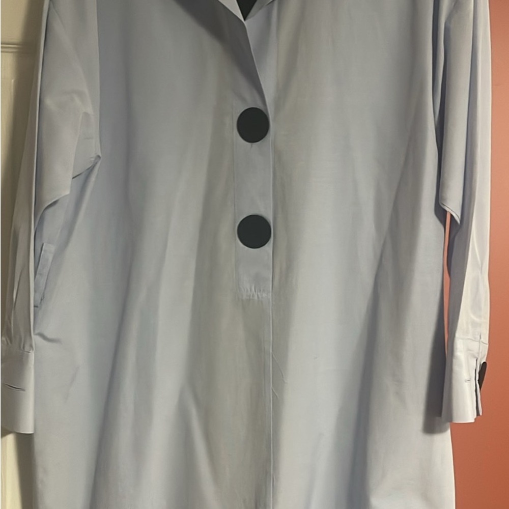 Zara Light Gray Trench Coat with Black Buttons